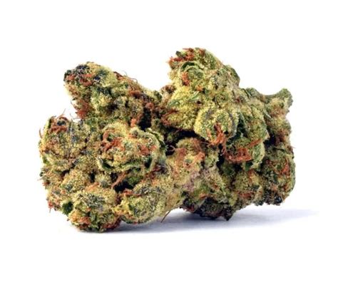 LA Kush Cake Strain Review | A Potent Cannabis Hybrid