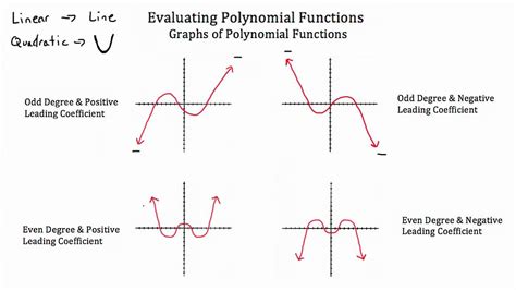 Evaluating Polynomial Functions | Graphing linear equations activities, Graphing linear ...