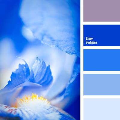 cobalt-blue | Color Palette Ideas