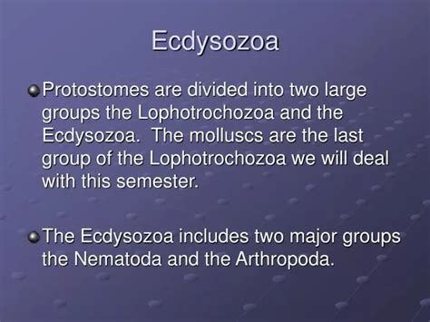 PPT - Ecdysozoa PowerPoint Presentation, free download - ID:108483