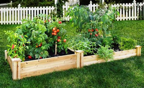 How to Build Raised Vegetable Garden Boxes - Learn how to