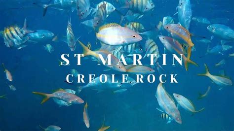 SNORKELING IN ST MARTIN | LUXE CARAÏBES Snorkeling at Creole Rock in St Martin/St. Maarten. | St ...