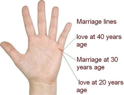 Heart line in palmistry: Here's what it reveals about your love life