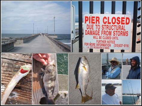 Venice Fishing Pier - Pier Fishing in California