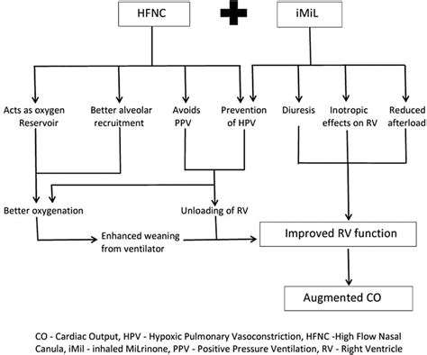 The complementary action of inhaled milrinone via high-frequency nasal ...