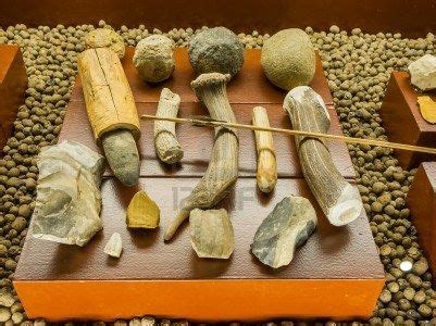 Prehistoric hunting tools | Stone age tools, Prehistoric, Ancient tools