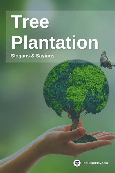 872+ Catchy Tree Plantation Slogans and Sayings (Generator + Guide) - thebrandboy.com