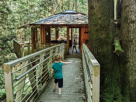 Bainbridge Island with kids: what to see, do and eat | Seattle's Child