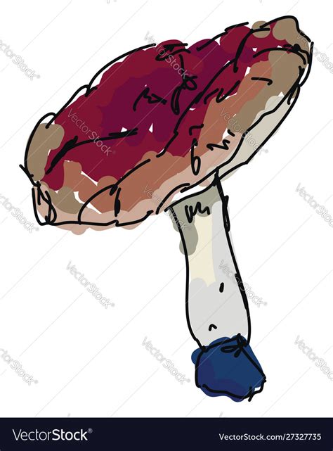 Mushroom on white background Royalty Free Vector Image