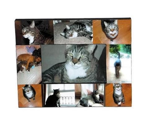 Pet Memorial Collage Picture Frame in Loving Memory Pet Frame Rainbow Bridge Custom Cat Dog ...