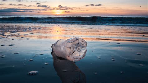 The war against plastic is distracting us from pollution that cannot be ...