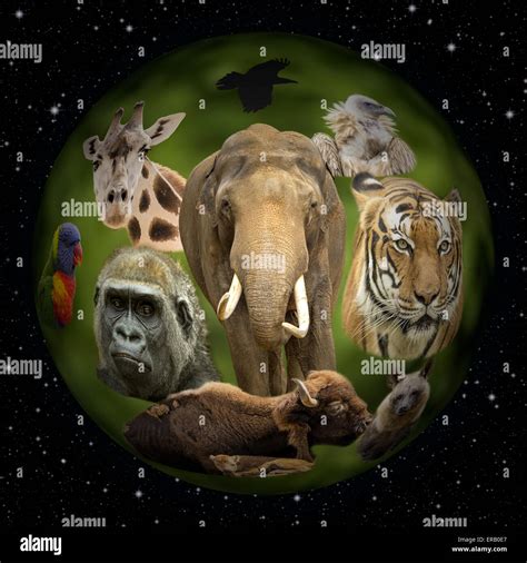 Earth animals hi-res stock photography and images - Alamy