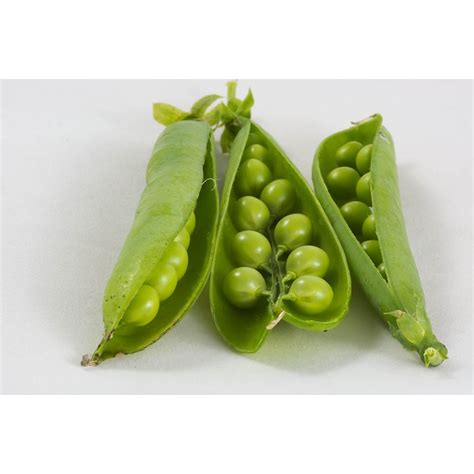 Pea Kelvedon Wonder Vegetable Seeds (Approx. 54 seeds) by Jamieson Brothers