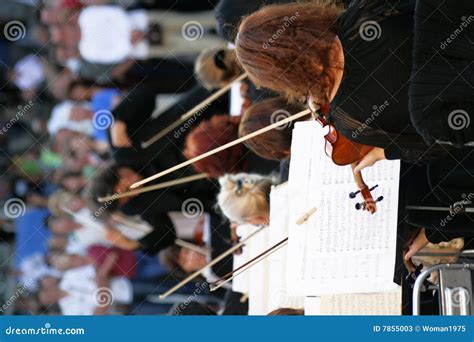 Orchestra of Classical Music Stock Image - Image of auditorium, musical: 7855003