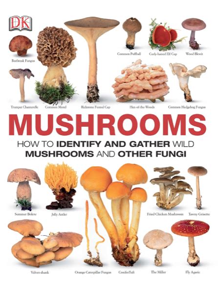 Michigan Mushroom Identification Chart