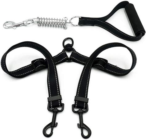 Amazon.com : Retractable Double Dog Leash with Padded Handles - 360 ...