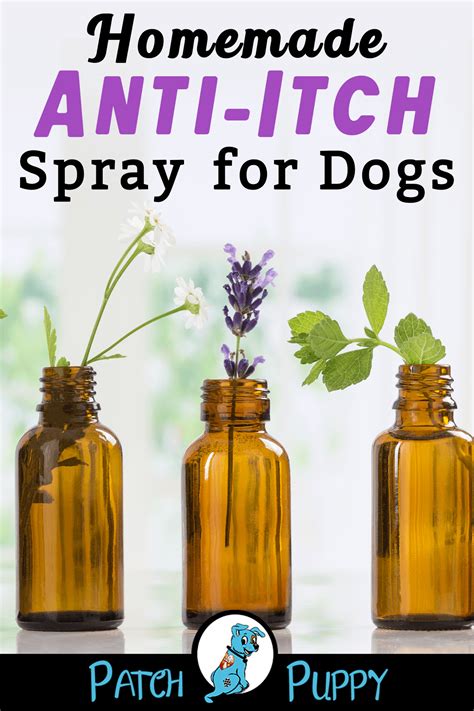 Homemade Dog Anti Itch Spray