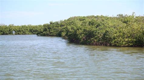 Caladesi Island State Park | Florida State Parks