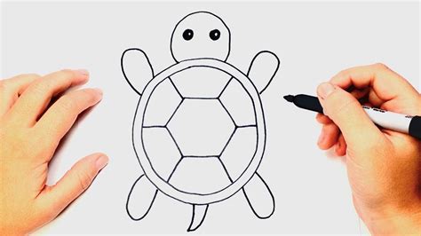 How to draw a Tortoise Step by Step | Easy drawings - YouTube