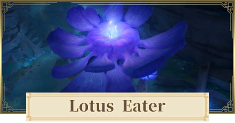 Genshin | Lotus Eater World Quest Walkthrough & Locations - GameWith