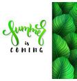 Sale banner poster with palm leaves jungle leaf Vector Image