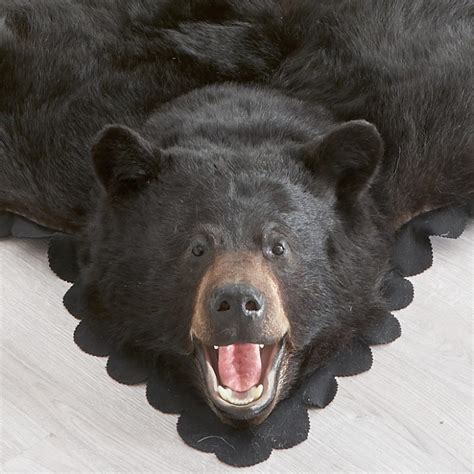 Shop for 5 Foot 7 Inch (170cm) Black Bear Rug 33601211FB at Bear Skin Rugs