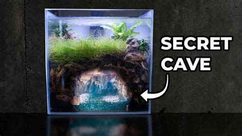 extra large aquarium caves - shop.prabhusteels.com