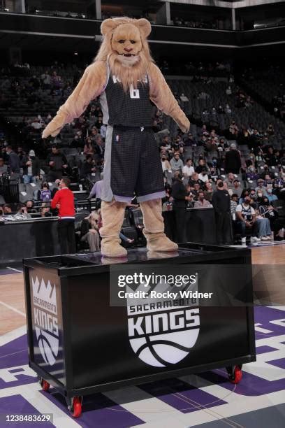 Sacramento Kings Mascot Photos and Premium High Res Pictures - Getty Images