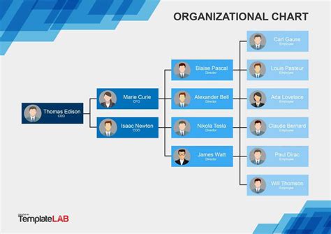 Company Organogram Template Word