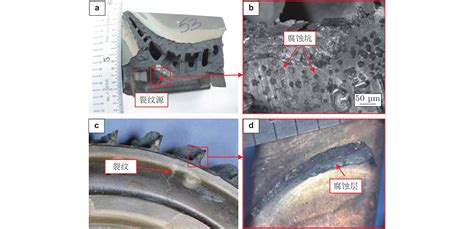 Low-temperature hot corrosion fatigue damage mechanism, life model, and corrosion resistance ...