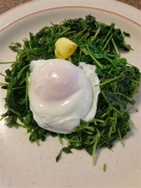 Steamed Pea Microgreens with Butter and Pouched Egg Microgreens, Peas, Butter, Breakfast, Food ...