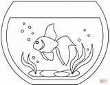 Fish Tank Coloring Page sketch template