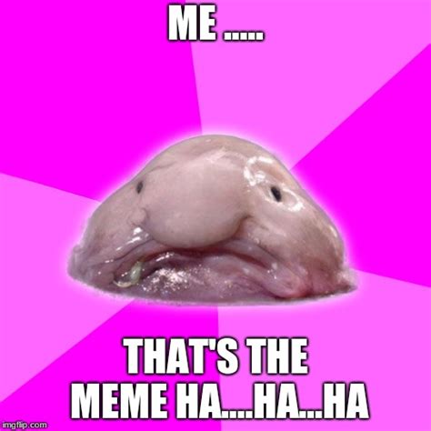 blobfish Memes - Imgflip