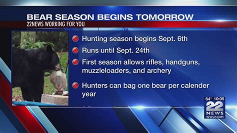 Black bear hunting in Massachusetts begins this week - YouTube