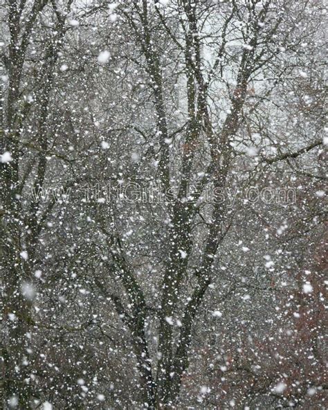 Snow Photography / Winter Photograph / Printable Photo Digital Download ...