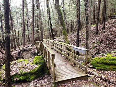 10 Best Hikes in the Berkshire Mountains to Get Away From it All