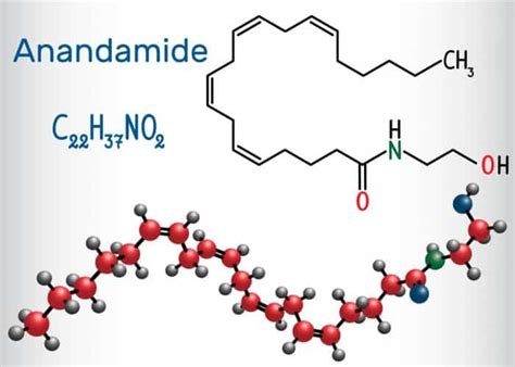 Anandamide: The Best CBD Oil Alternative for Pain and Anxiety