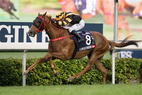 Hong Kong Horses Ready for All-Comers in Hong Kong Races - The New York ...