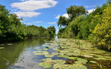 The Danube Delta - Crafted Tours Romania