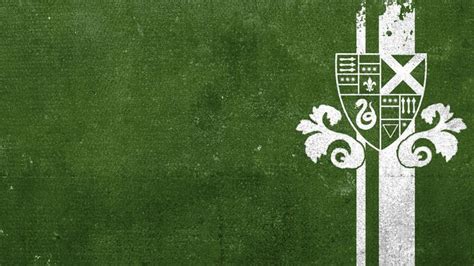 HD wallpaper: white and green logo, Slytherin, Sonserina, Harry Potter ...