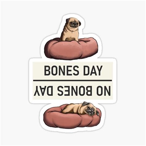 "Bones Day - No Bones Day, Bones or No Bones, Noodle the Pug, Treat ...