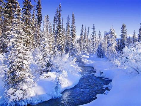 paisajes naturales del mundo en invierno, imagenes | Winter nature, Winter scenery, Winter landscape