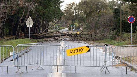 Storm Ciarán losses in the ‘hundreds of millions’: Aon :: Insurance Day