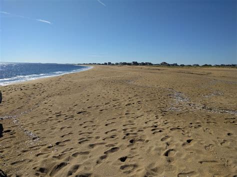 Plum Island Beach – Dojoverse