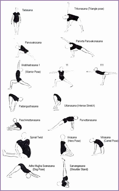 4 Iyengar Yoga Poses for Beginners - Work Out Picture Media - Work Out ...