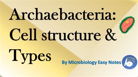 Archaebacteria Cell Structure and it's types - YouTube