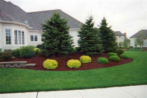 Pin by Marie Sullivan on hillside | Evergreen landscape, Privacy ...