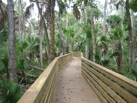 Black Hammock Wilderness Area | Seminole County