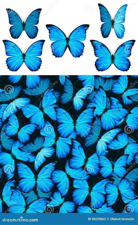 Blue Butterfly Morphinae Pattern Stock Vector - Illustration of ...