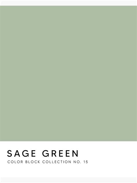 "Sage Green Swatch" Poster for Sale by fempreneurco | Redbubble